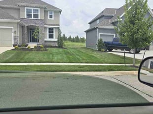 Joy G.'s grass cutting service result
