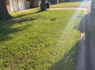 Dennis M.'s lawn service service result