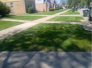 Pat S.'s turf care service result
