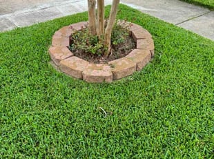 Janna B.'s lawn care service result
