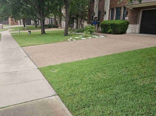 Gary M.'s landscape maintenance service result