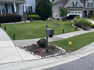 Patrick C.'s grass cutting service result