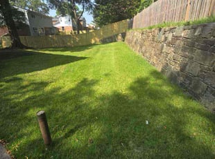 Sarah K.'s grass cutting service result