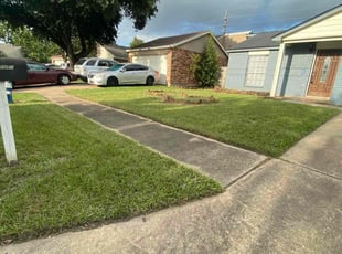 Vanessa S.'s turf care service result