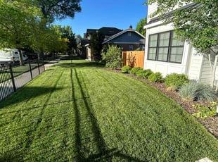 Walter A.'s turf care service result