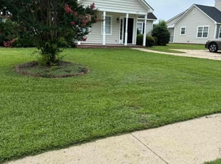 Michelle N.'s lawn care services service result