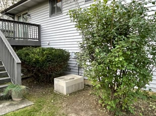 Isha B.'s Bush Trimming service result