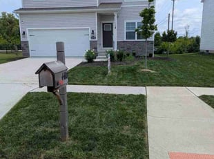 David P.'s grass maintenance service result