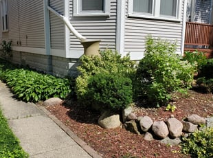 Dmitri M.'s Bush Trimming service result