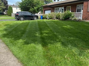 Margaret R.'s grass maintenance service result