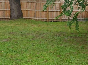 James W.'s grass maintenance service result