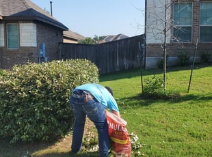 Kenneth C.'s Bush Trimming service result
