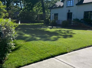 Hugh B.'s turf maintenance service result