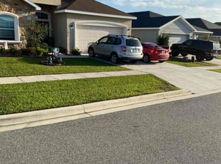 Nancy V.'s turf maintenance service result