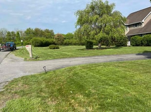 Francis C.'s lawn service service result