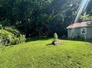 Franco T.'s lawn maintenance service result