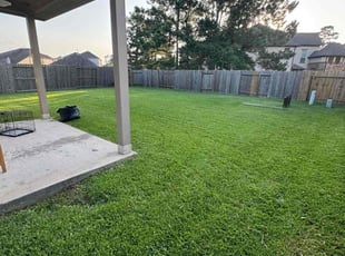 Daniel B.'s turf care service result