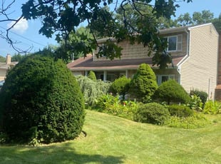 Bruce W.'s turf maintenance service result