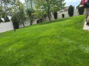 Chance P.'s turf care service result