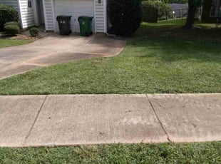 Antoinette M.'s lawn service service result