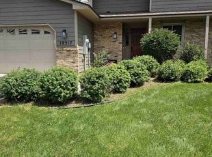 Cheryl L.'s Bush Trimming service result