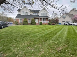 Beverly M.'s turf care service result