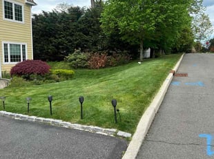 David D.'s grass maintenance service result