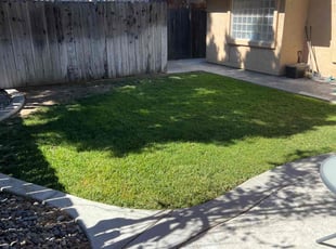 Kathi H.'s yard care service result