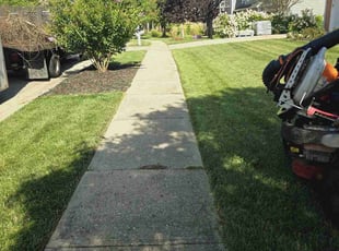 Antonio A.'s grass maintenance service result