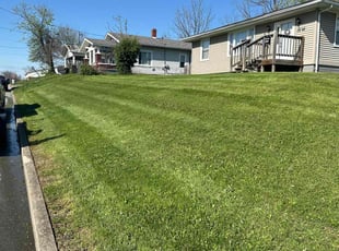 Katelia R.'s turf maintenance service result