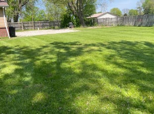 Crystal A.'s grass maintenance service result