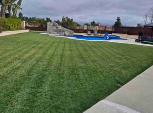 Tonja R.'s grass cutting service result