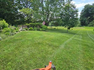 Robert A.'s lawn care services service result