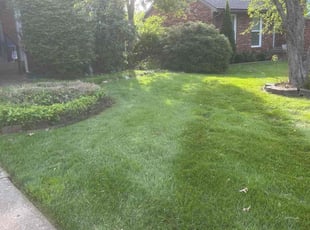 Clay R.'s grass maintenance service result