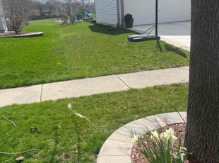 Sudhakar T.'s lawn service service result