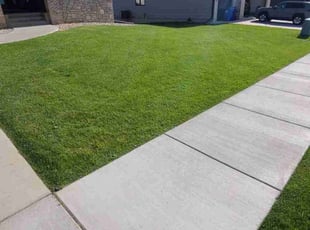 Cameron S.'s lawn service service result