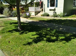 Shawn G.'s grass maintenance service result
