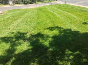 Sonja M.'s turf maintenance service result