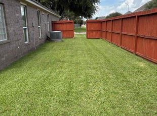 Shannon S.'s grass maintenance service result