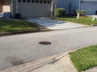 Lesley K.'s Bush Trimming service result