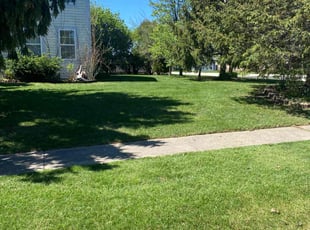 Lindsy A.'s grass cutting service result