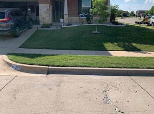 Teresa M.'s yard care service result