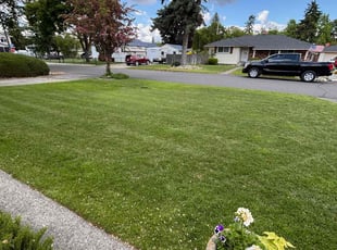 Linda K.'s turf care service result