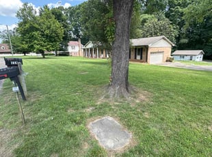 James W.'s lawn care services service result