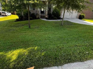 Rebekah B.'s grass maintenance service result