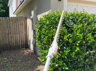 Nakita T.'s Bush Trimming service result