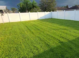 Richard D.'s lawn care service result