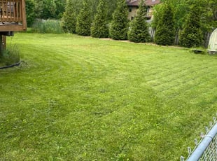Tim C.'s lawn maintenance service result