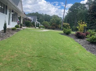 Cesilia A.'s grass maintenance service result