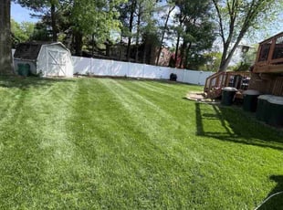 Harry H.'s lawn maintenance service result